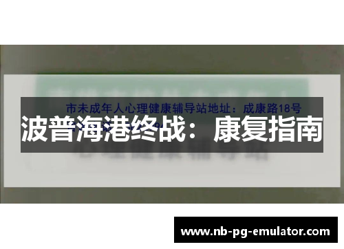 波普海港终战：康复指南