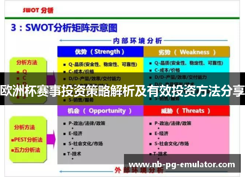 欧洲杯赛事投资策略解析及有效投资方法分享